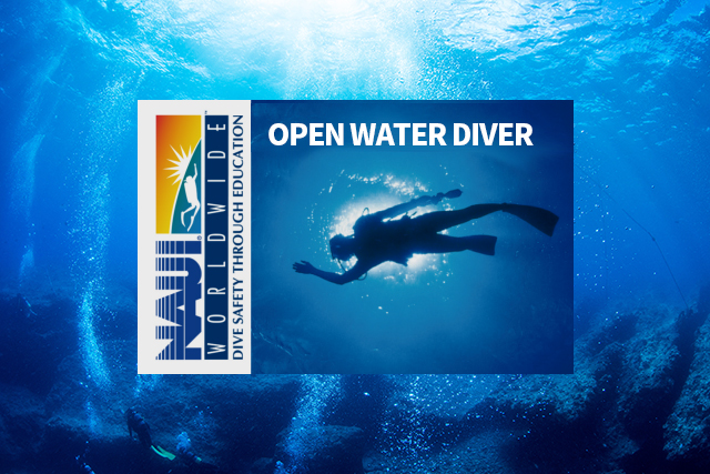 OPEN WATER DIVER